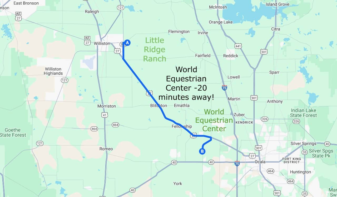 World Equestrian Center - You have to see it to believe, A must see!