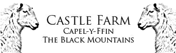 The Castle at Capel-y-Ffin, Wales