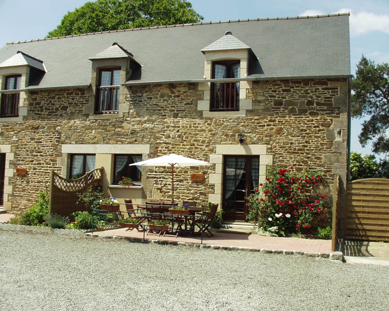 Abricot terrasse