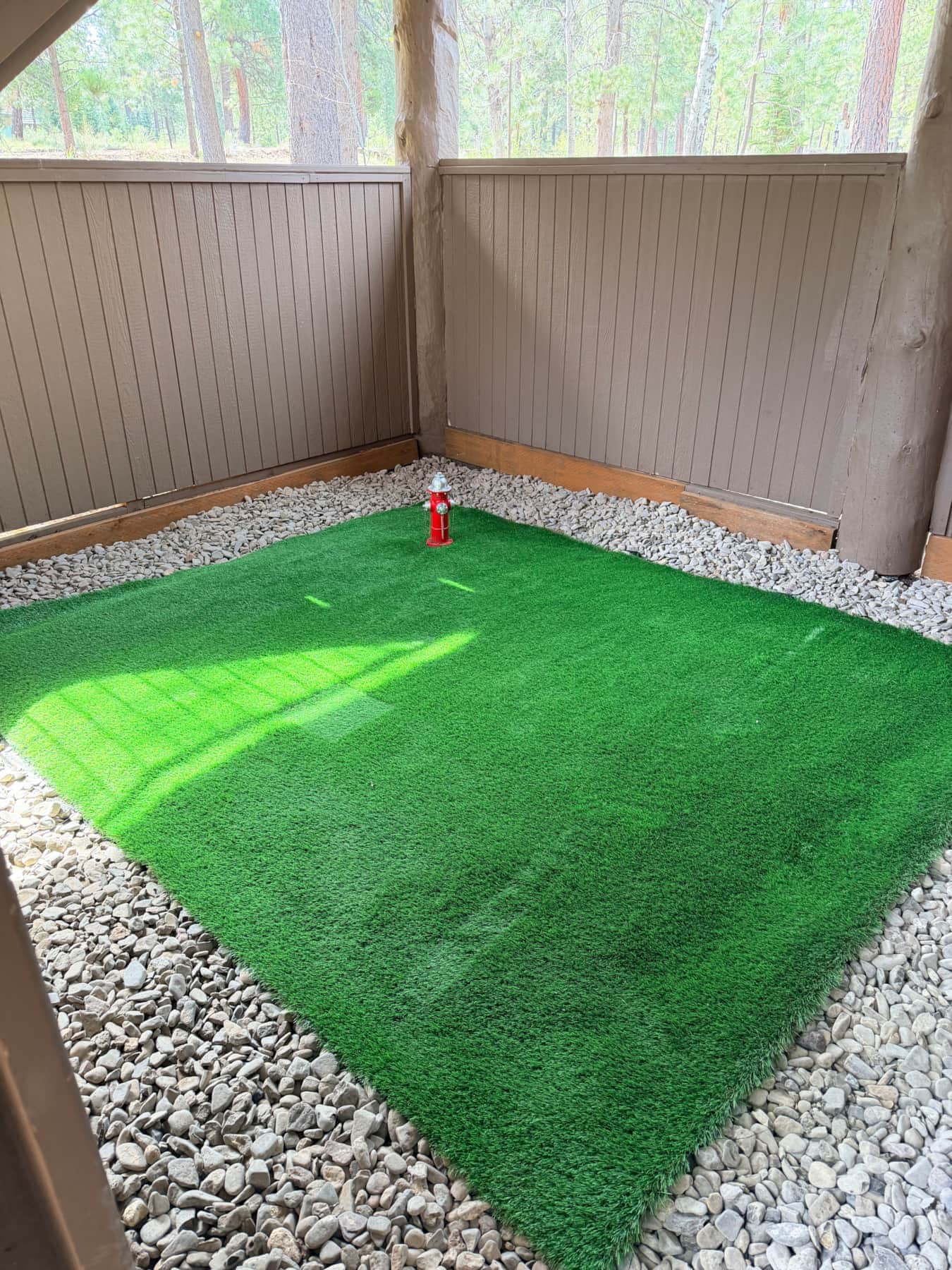 A dedicated, safe and clean dog area for your furry friend