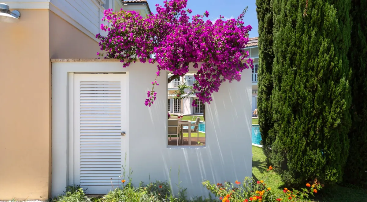 Exterior view of a white wall with a door and purple flowers, Portville B2 005, Gocek