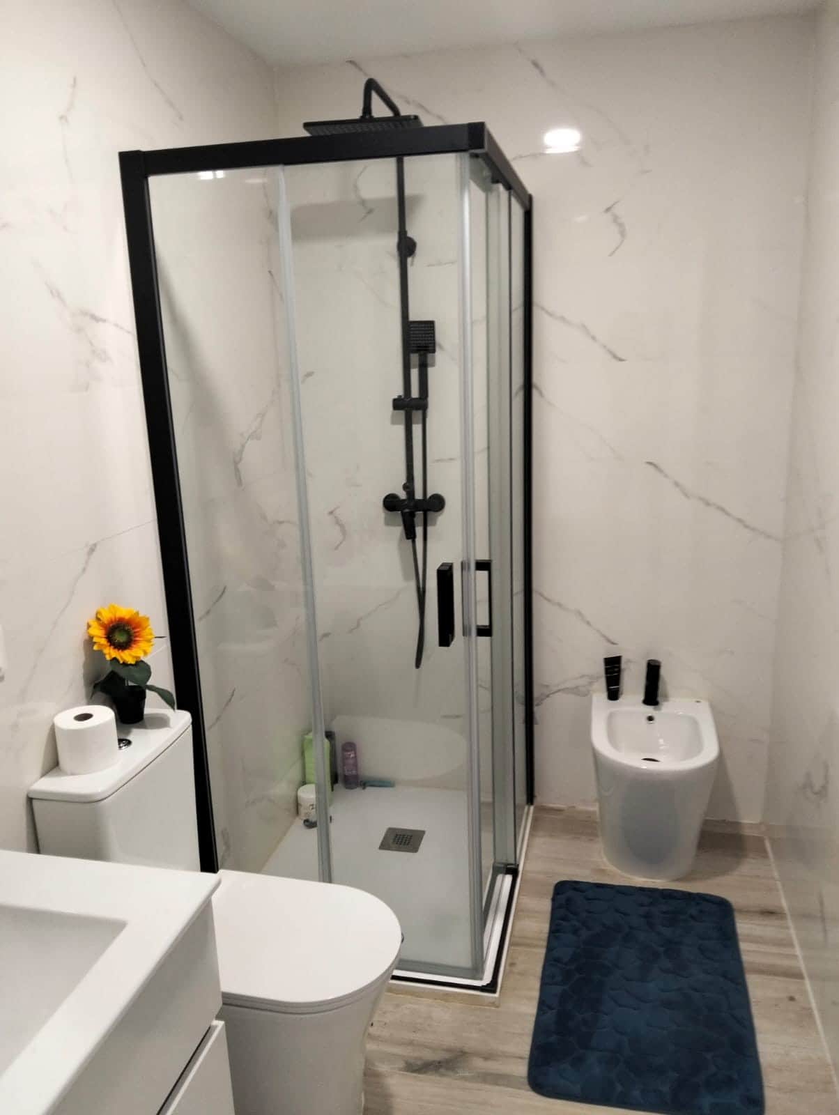 Baño completo con ducha y bidé