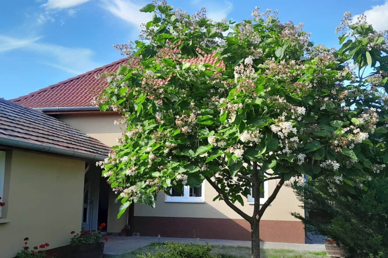 Exterior of the house