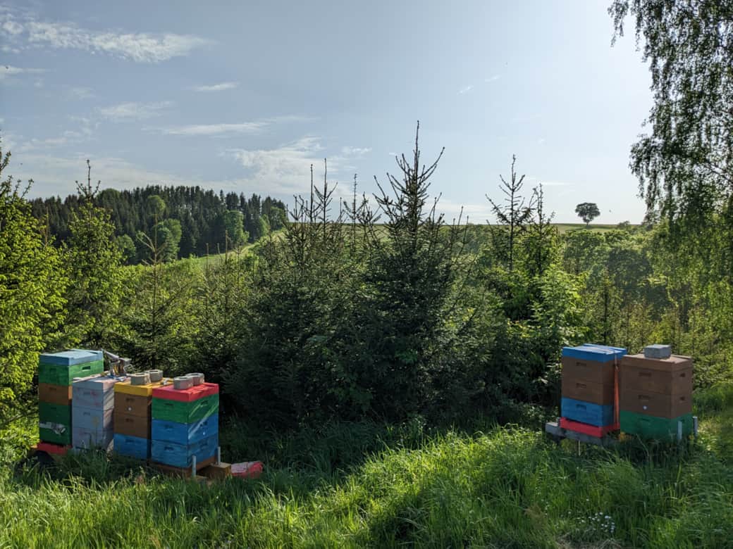 Bienenstand im Erzgebirge