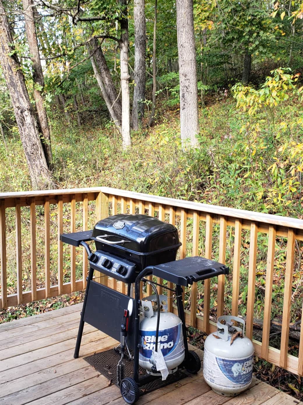 Gas and Charcoal grills