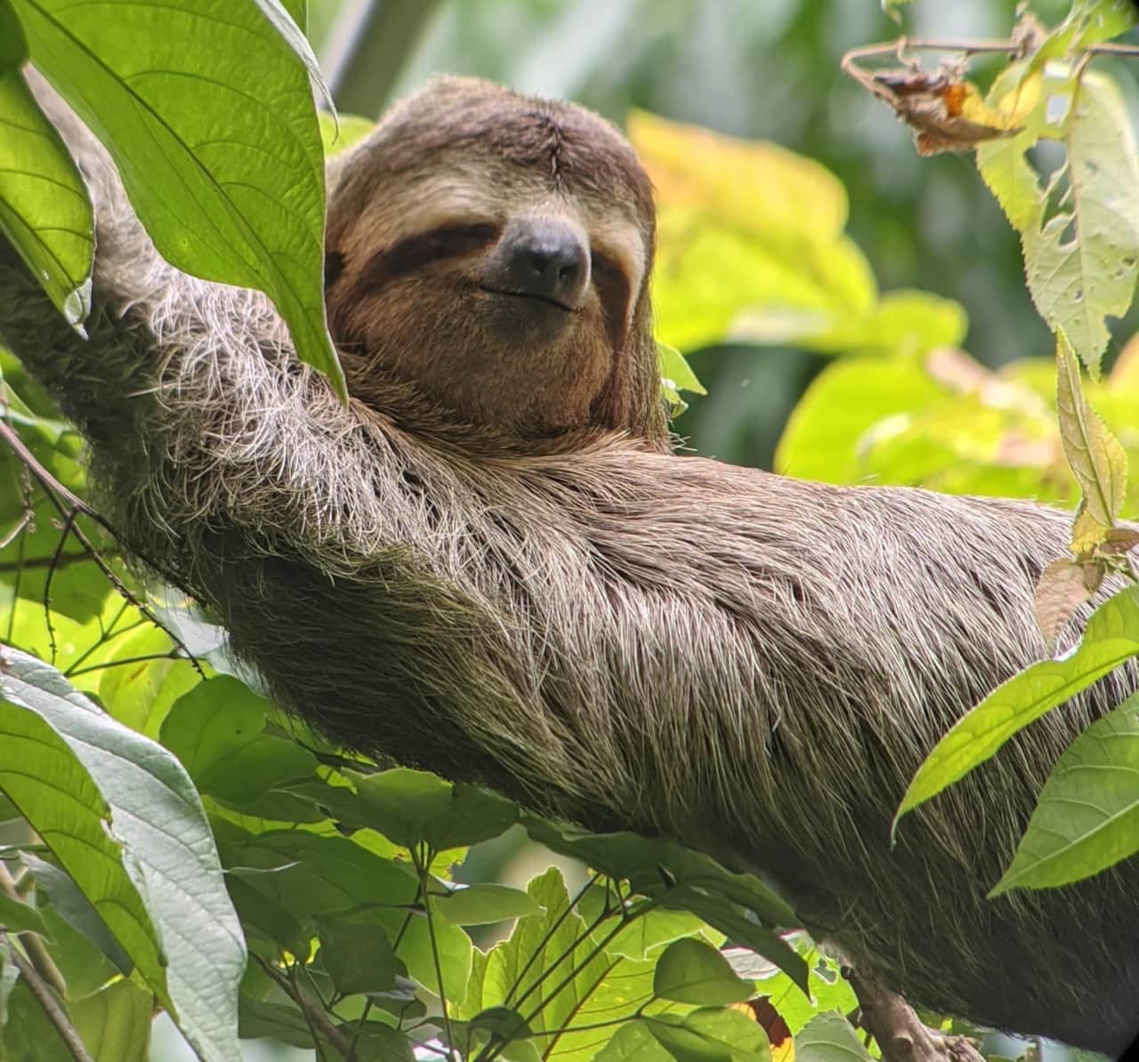 Manuel Antonio National Park