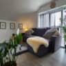 Rental image