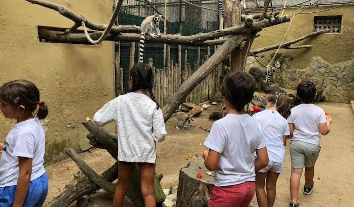 Niños disfrutando-Zoo Jerez- Apartamentos Turísticos A. Parra