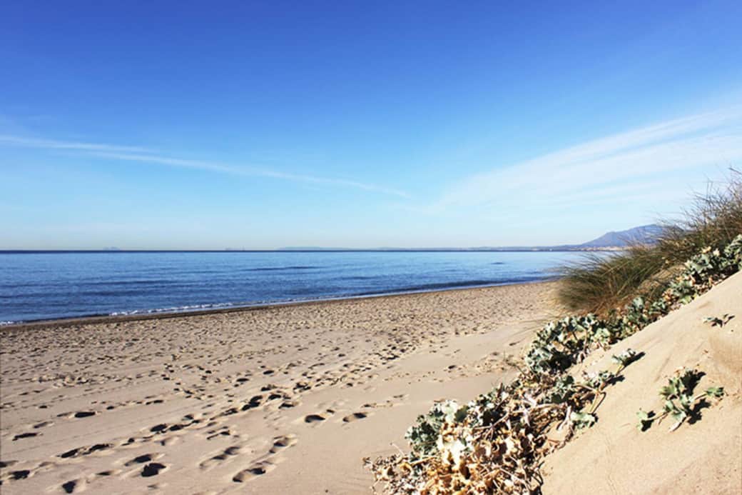 Marbella's best natural beach. La mejor playa de marbella. Dunas