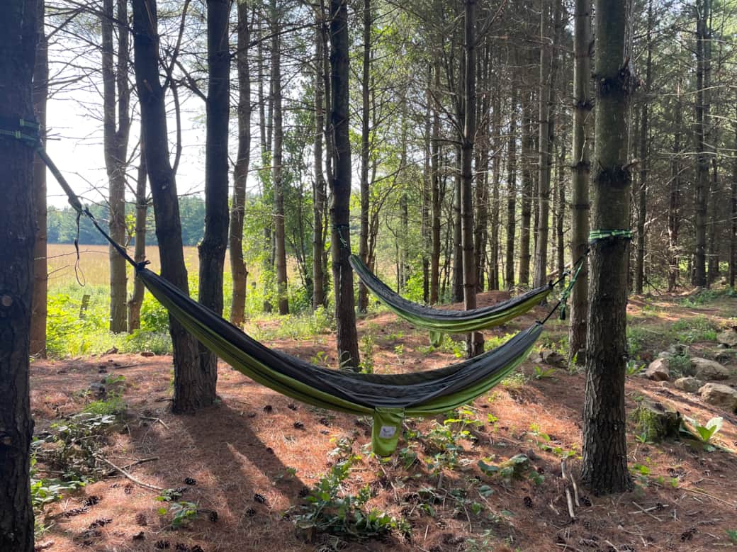 Relax in a Hammock