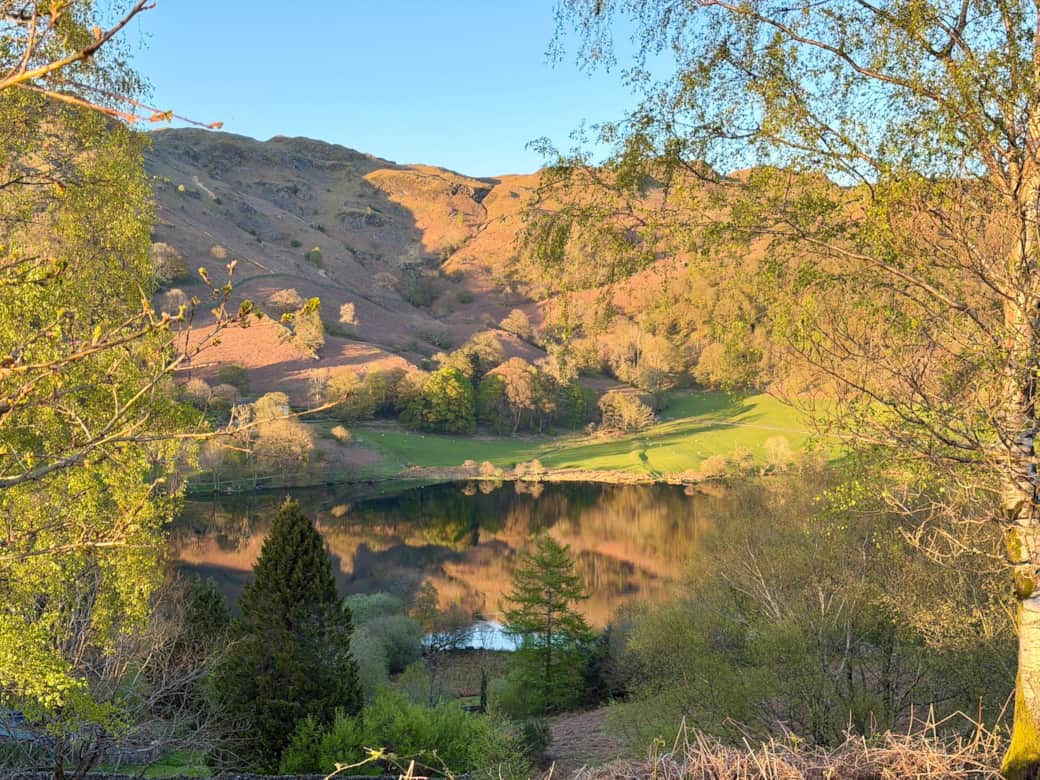 Loughrigg tarn is a short walk, and a great wild swimming spot.