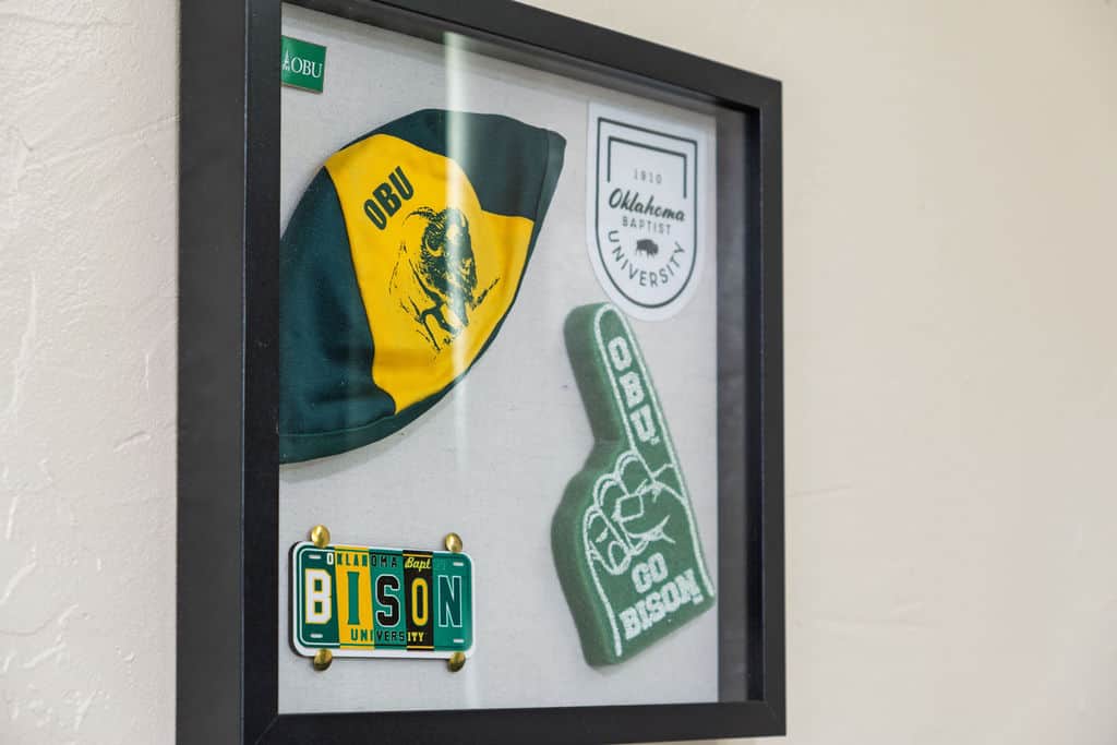 Bison Pride Decor