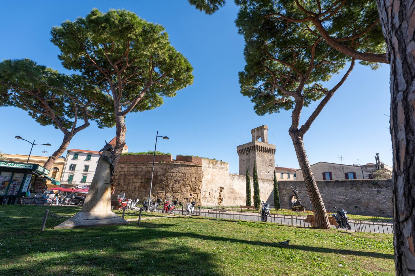 Parco urbano di fronte a Senyum - caratterizzato da un tappeto erboso di colore verde scuro brillante e foglie fini e da tre meravigliosi esemplari di pino domestico radicati lungo il perimetro per un aspetto estetico unico e impeccabile.