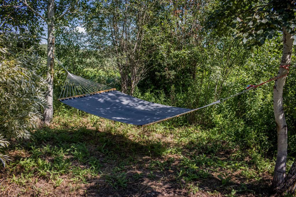 Hammock Hammock