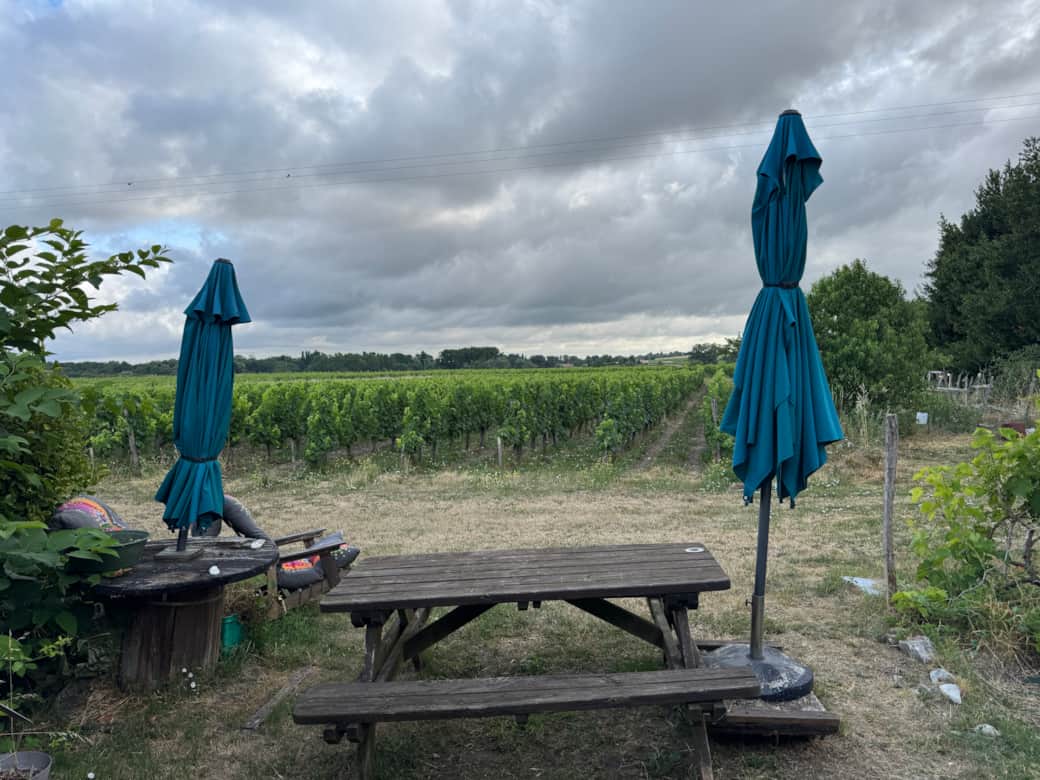 Le jardin depuis la chambre du bas