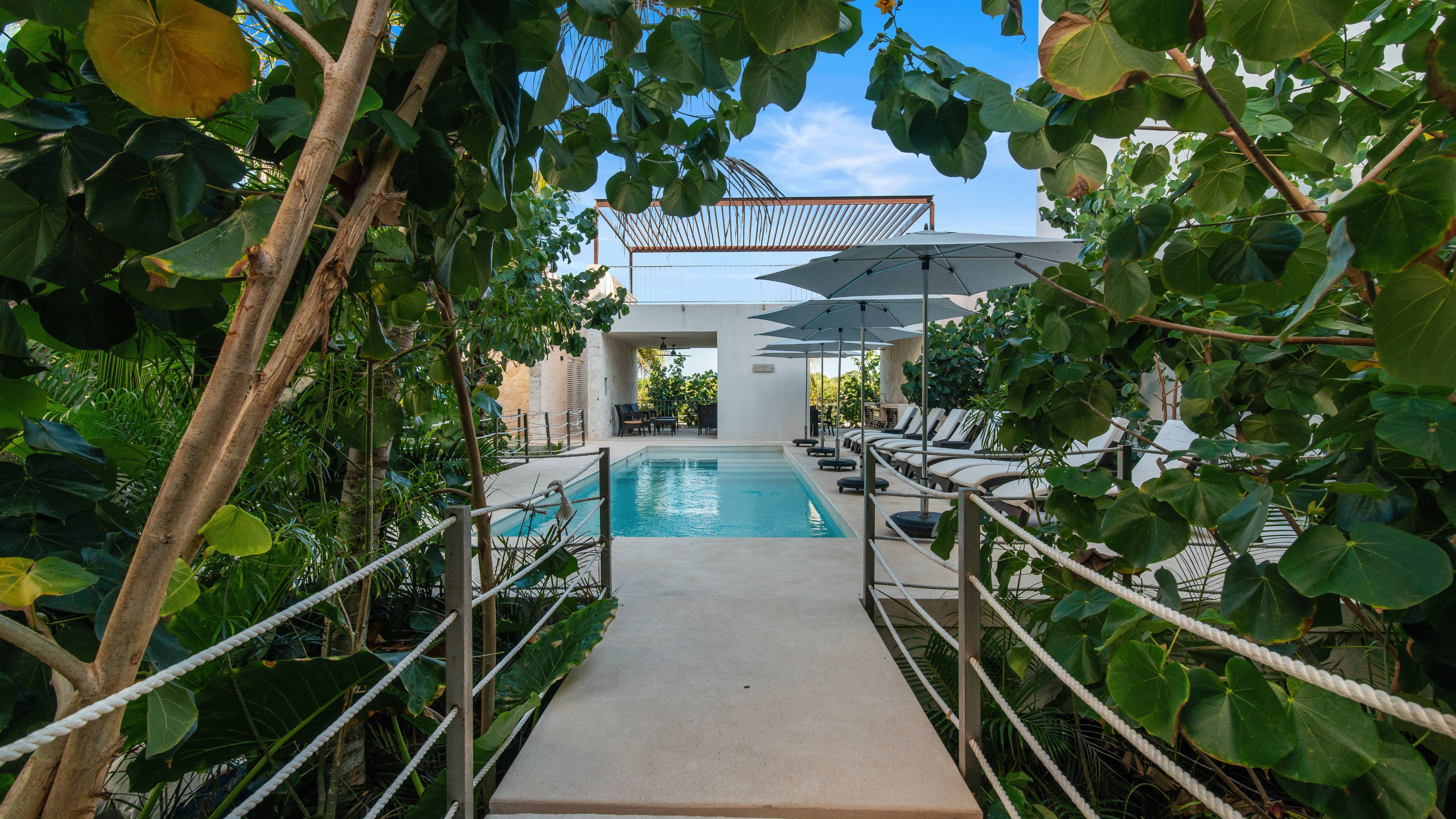 Follow the jungle path to a peaceful pool oasis surrounded by lush tropical greenery.