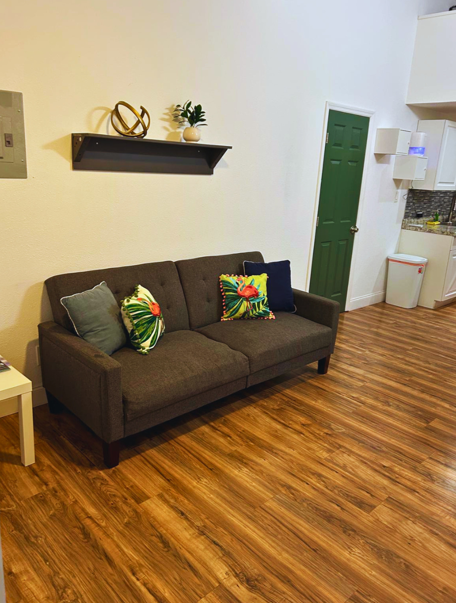 Studio with sofa bed, coffee table, natural light, and a decorative shelf. Lakeland, FL