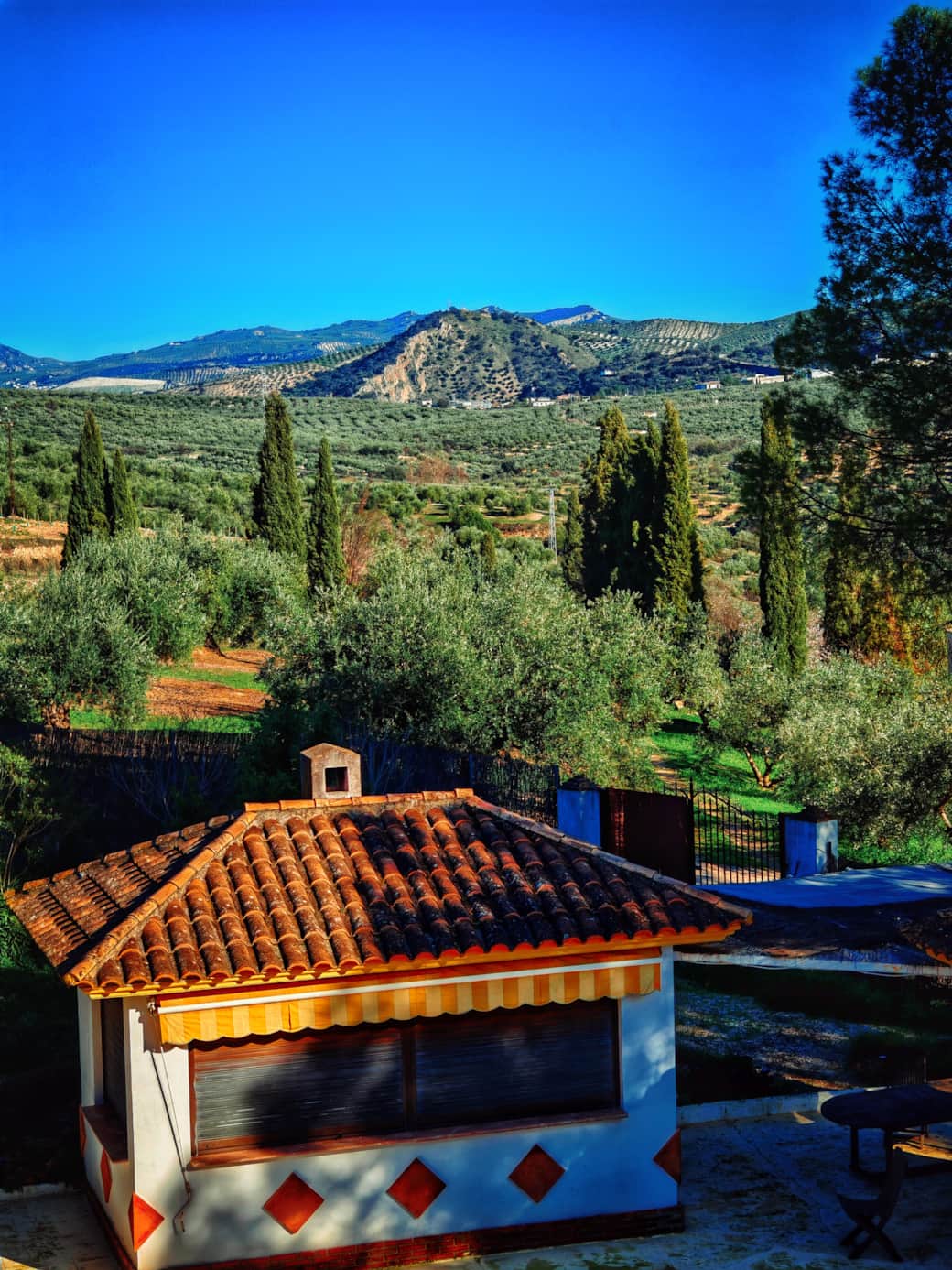 Vistas 1