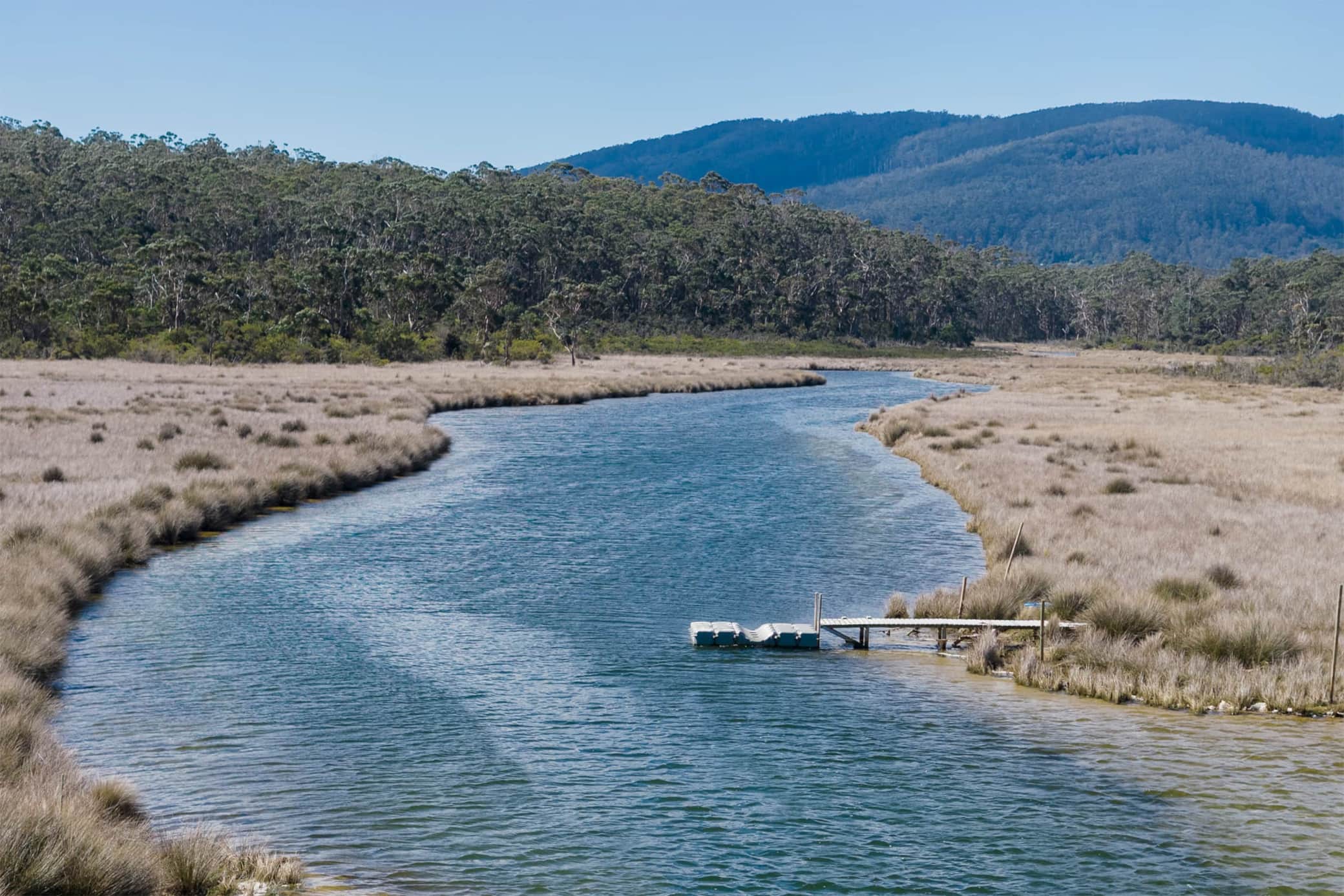 Cloudy Creek Cottage ~serenity, views & nature