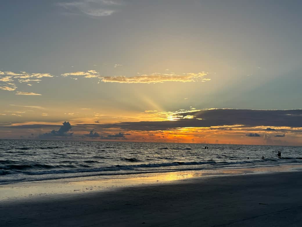 7159908995338774449[218]