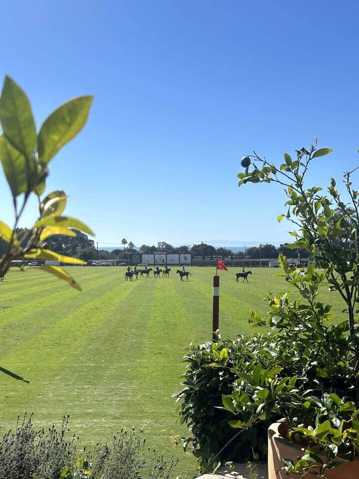 Enjoy Polo matches from your patio!