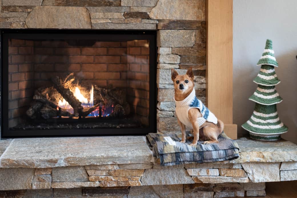 All doggies love to stay warm. Dante (our rescue pup) has a favorite spot by the fire.