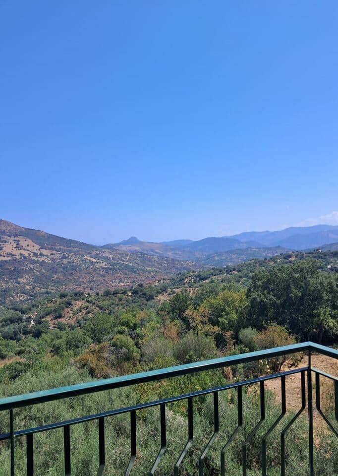 Mountain Views