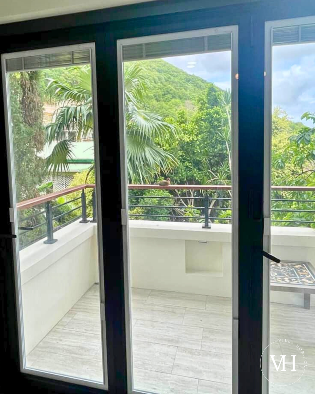 Enjoy visits from local birds right on your balcony!
