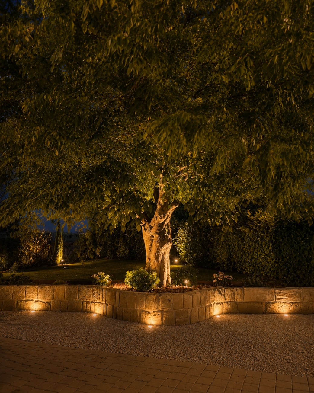 Jardin nuit Jardin nuit