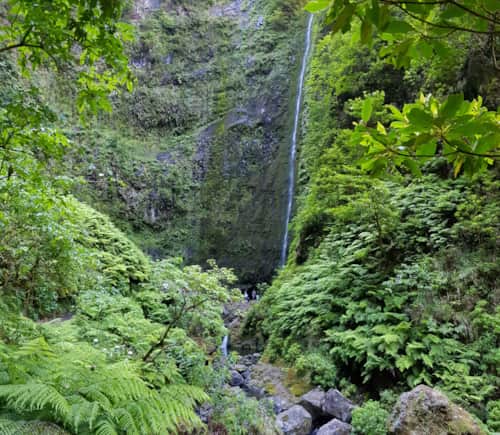 Cascade de la Levada do Caldeirão Verde
