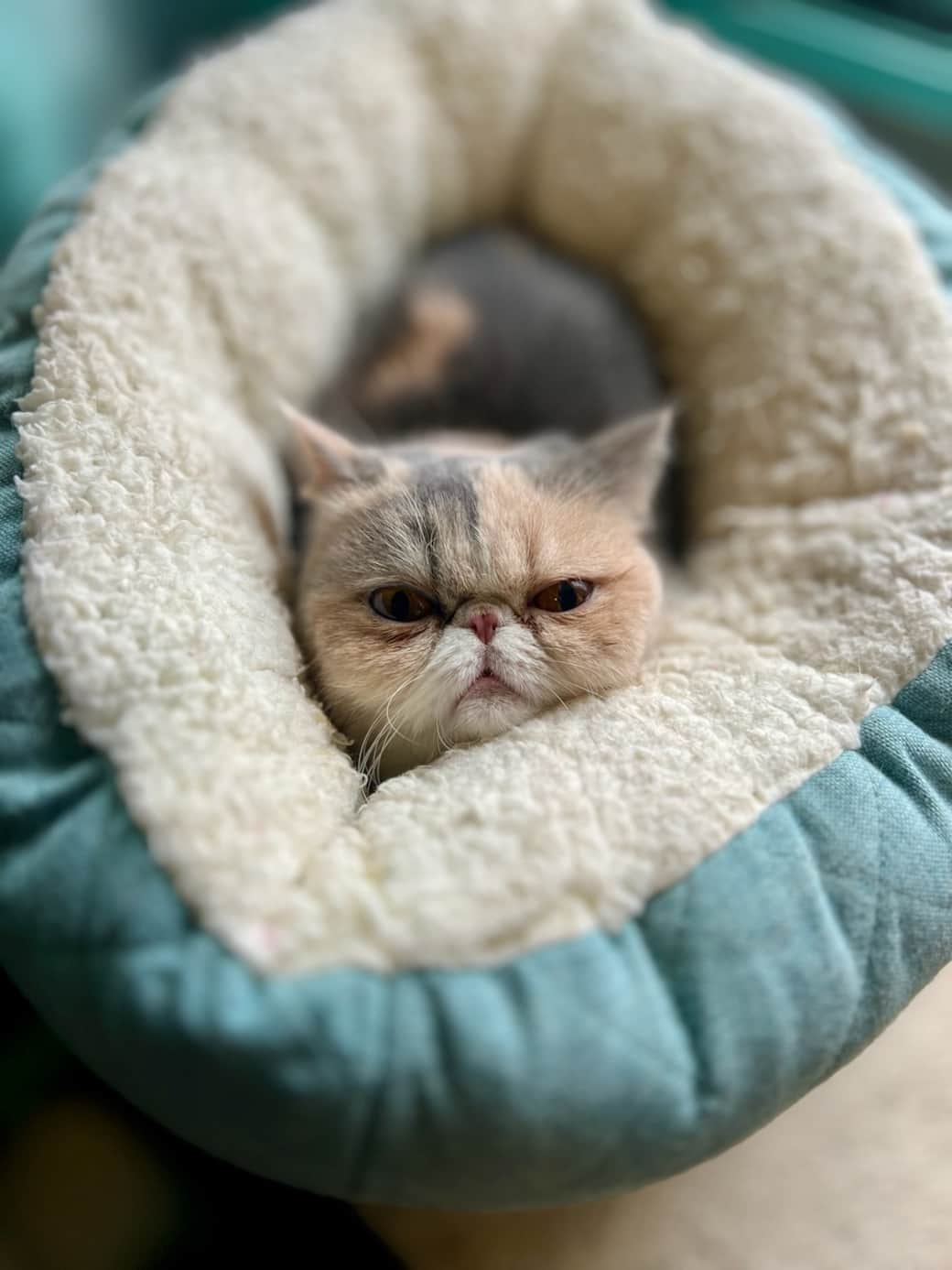 IMG_3794 2 IMG_3794 2