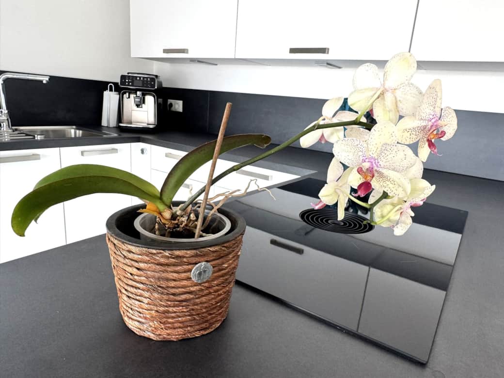 BORA- Induktionskochfeld