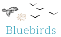Bluebirds Holiday Cottage Ramsgate