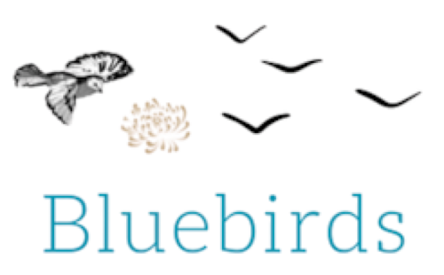Bluebirds Holiday Cottage Ramsgate