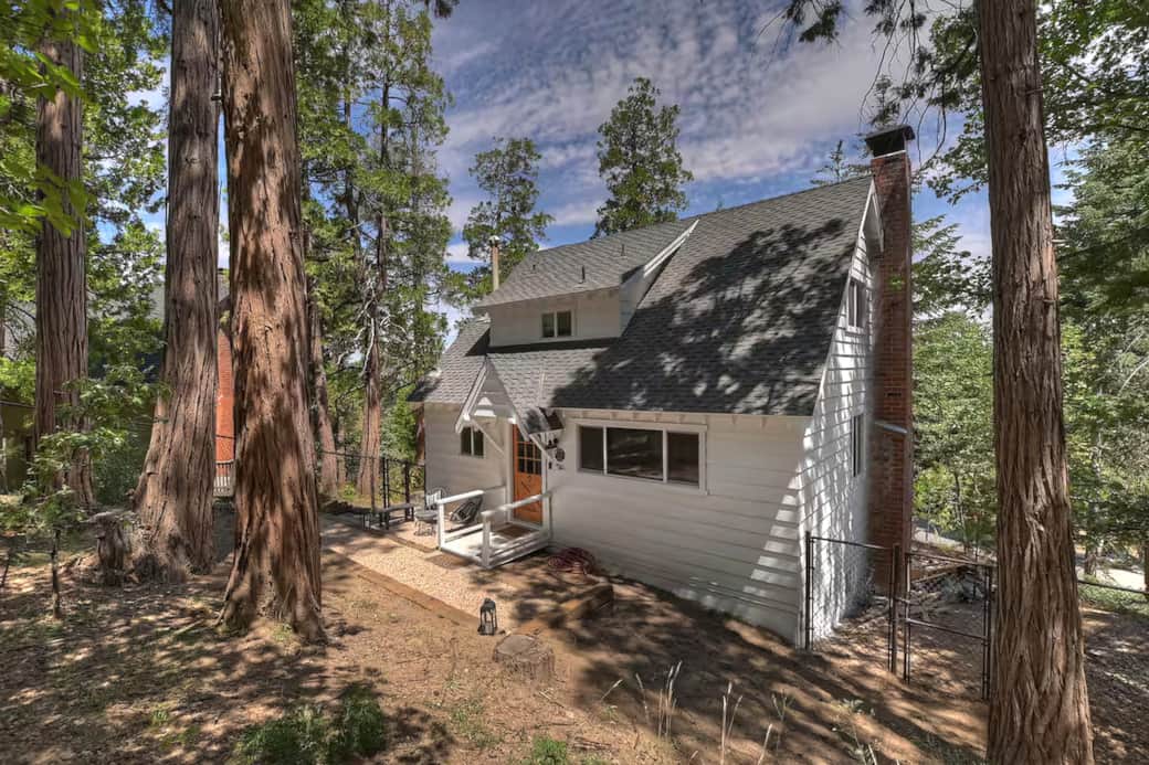 Exterior - Front Trees