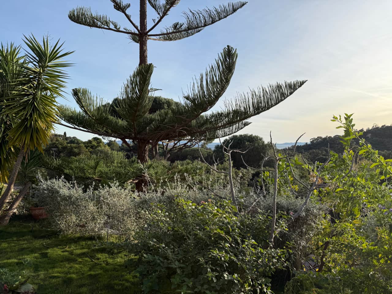 Vue mer et nature décembre 2024