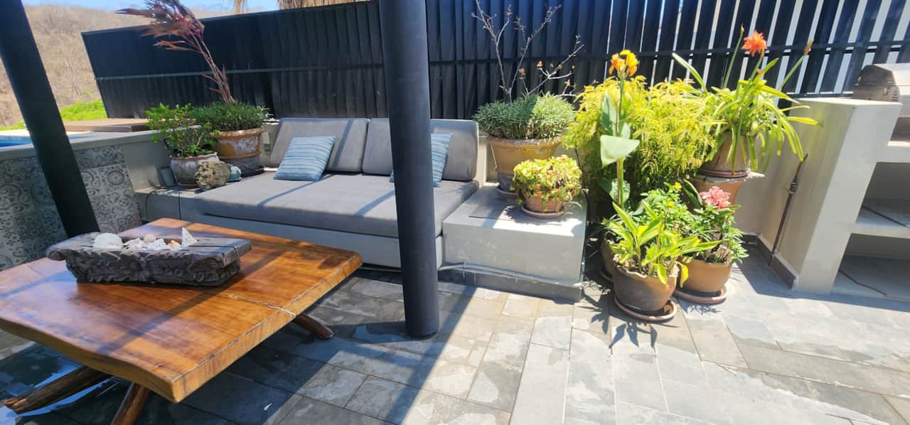 Lush plants on your private rooftop