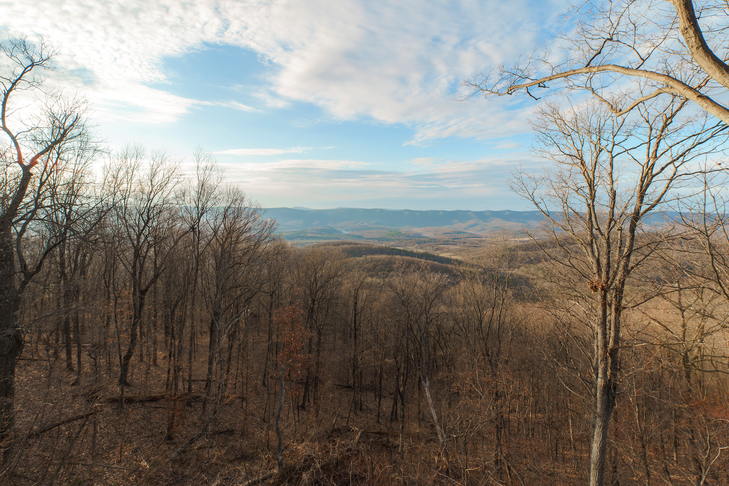 Stunning view from deck year round