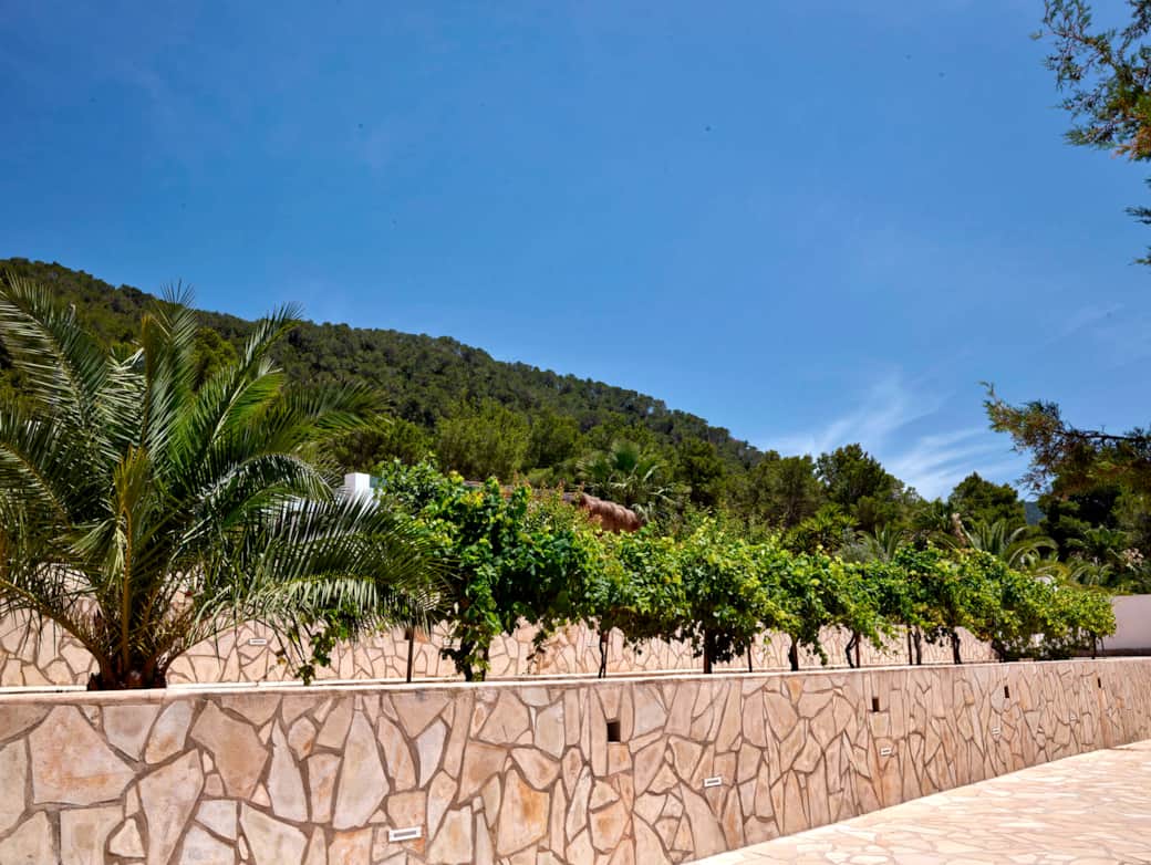 Media Luna Ibiza 2022 CF056272