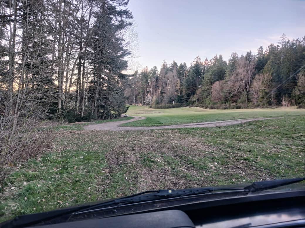 Stellplatz am Waldrand 