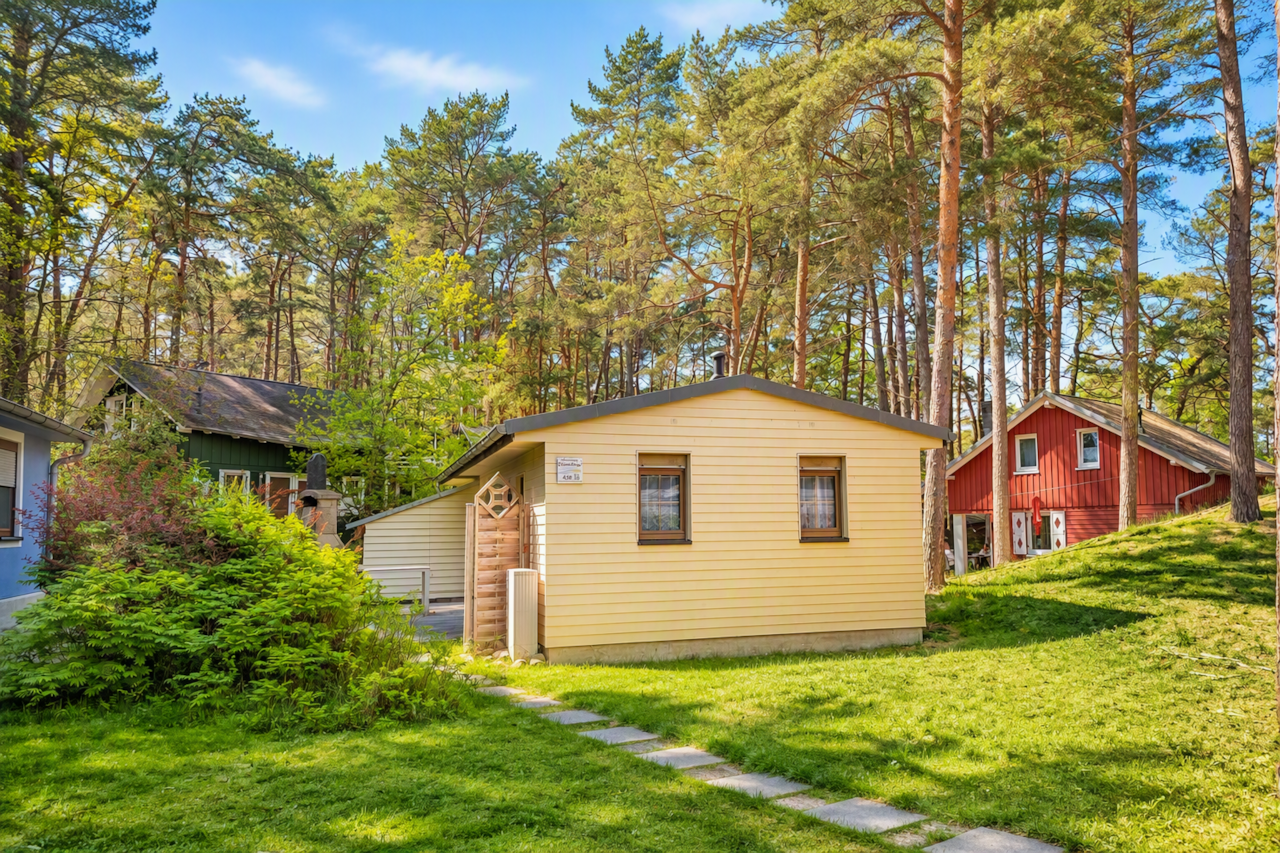Titelbild