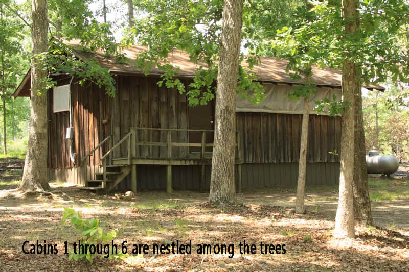 Cabin 6 - Sleeps 13