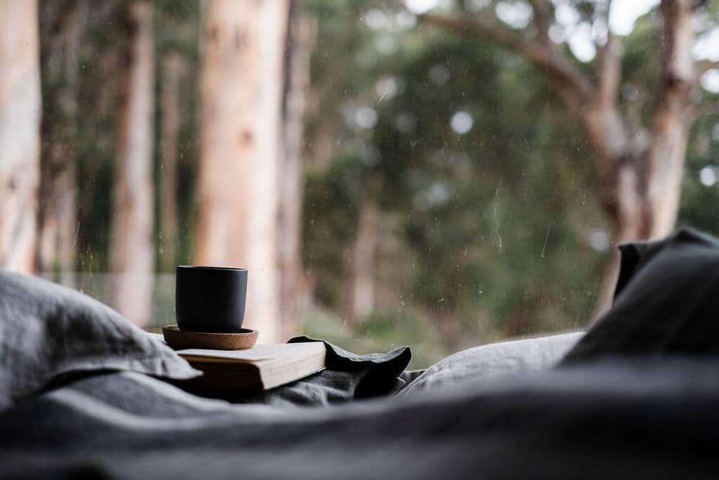 Wake up amongst the treetops