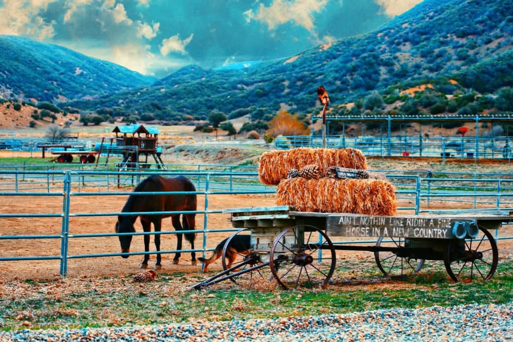 Rancho Grande is a valley onto itself surrounded on all 4 sides by mountains that are all close by. It gives the ranch a sense of peaceful isolation from the world. Rancho Grande is a valley onto itself surrounded on all 4 sides by mountains that are all close by. It gives the ranch a sense of peaceful isolation from the world.