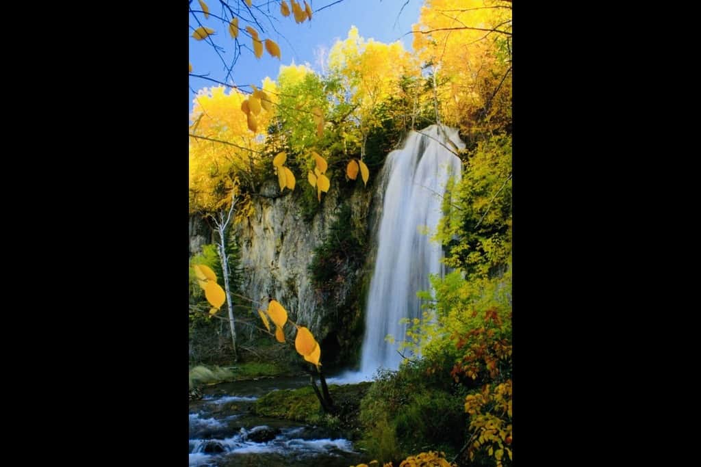 https://l.icdbcdn.com/oh/6abf9699-bc41-41c9-8495-a850ea1dd6a6.jpg?w=2080-21