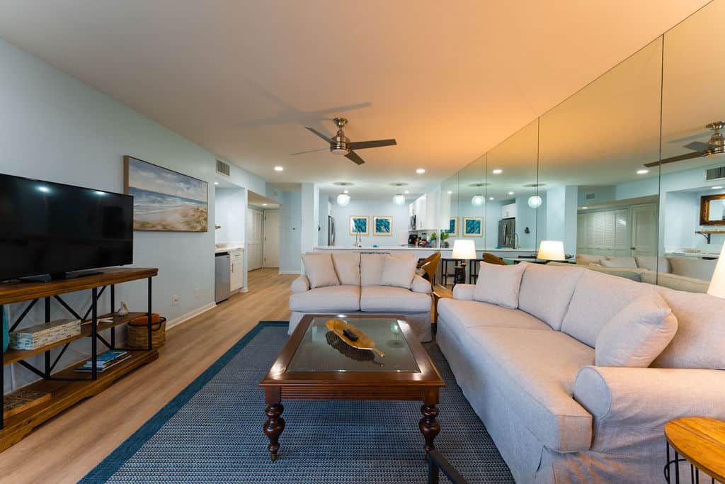 Spacious Living Room 