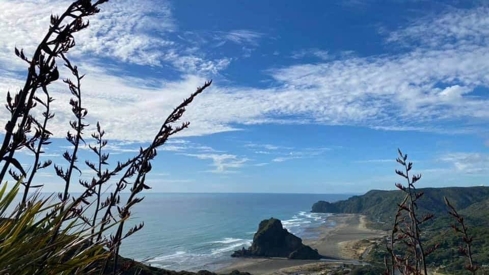 From "The Lookout"