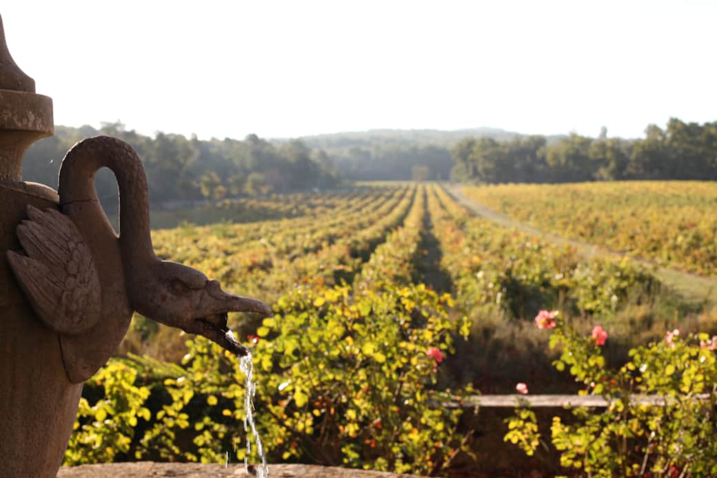 jardin, extérieur, fontaine, vignes