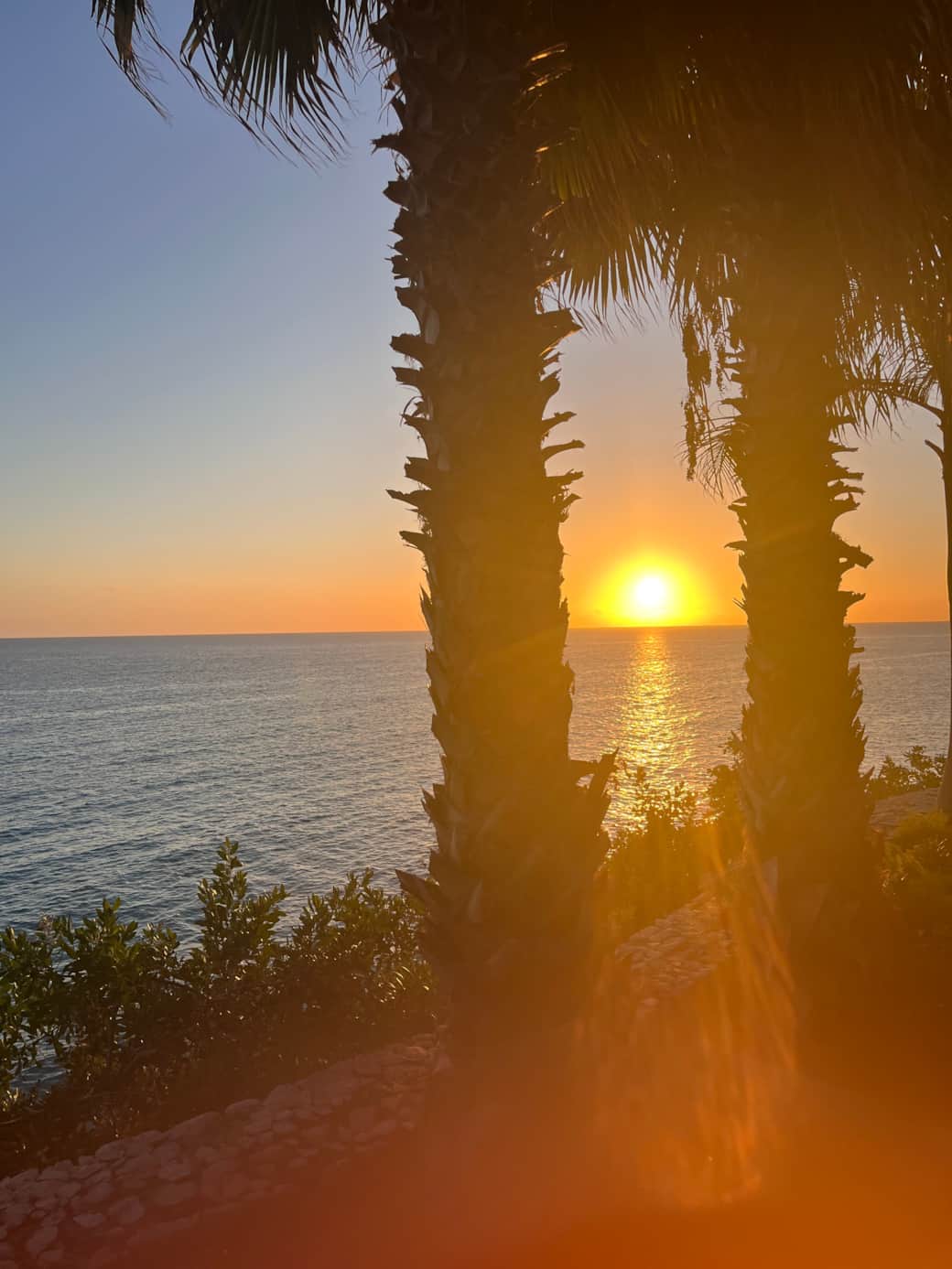 Sunset view