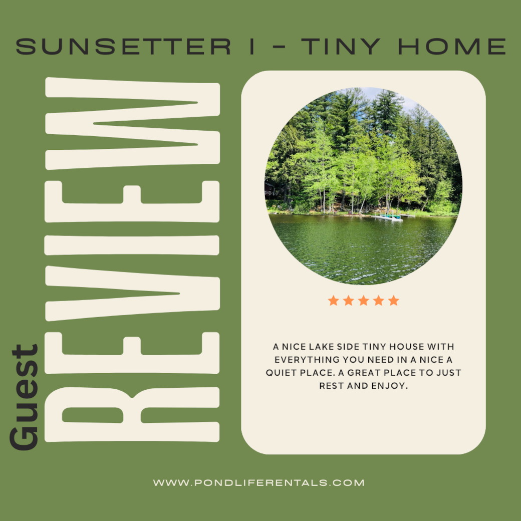 Guest Review 
